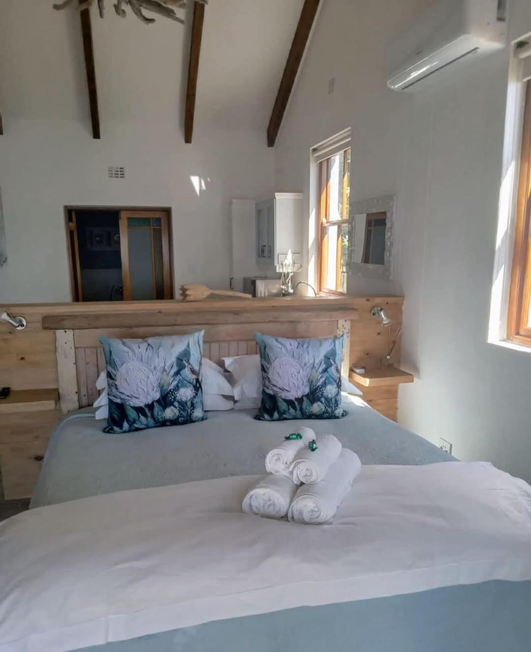 גנסבאי Kleinzee Oceanfront Guesthouse מראה חיצוני תמונה